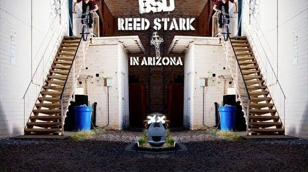 Reed Stark in Arizona