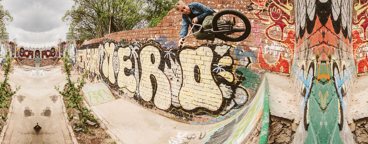Vets team – BSD USA/International store
